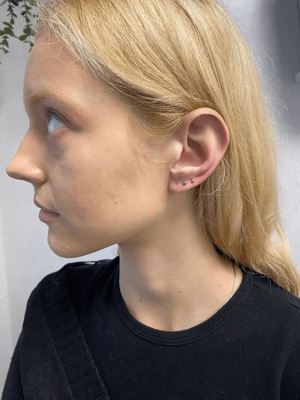 Przekłuwanie uszu dorosłym srebrny sztyft — Cute Piercing Warszawa